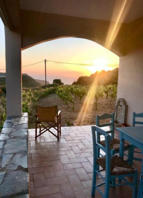 Les Oliviers Villa with Sea view on Petani Beach